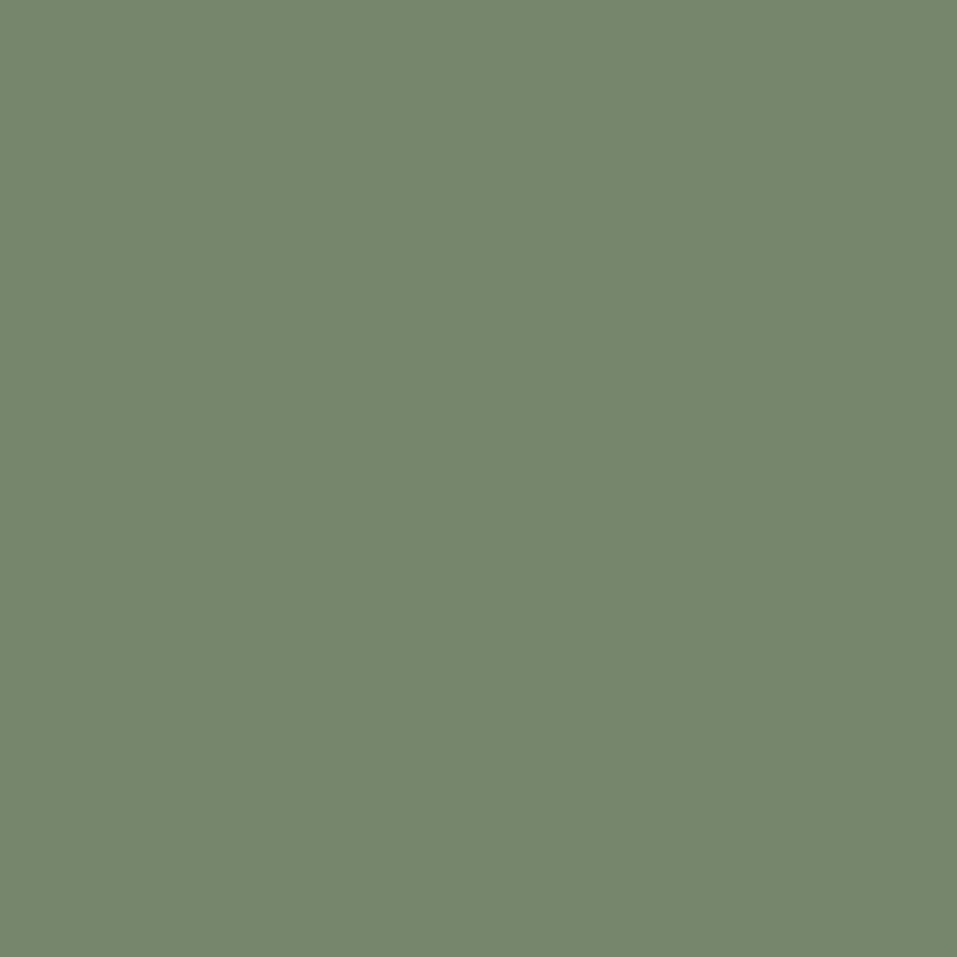 Best Dark Green Paint Colors