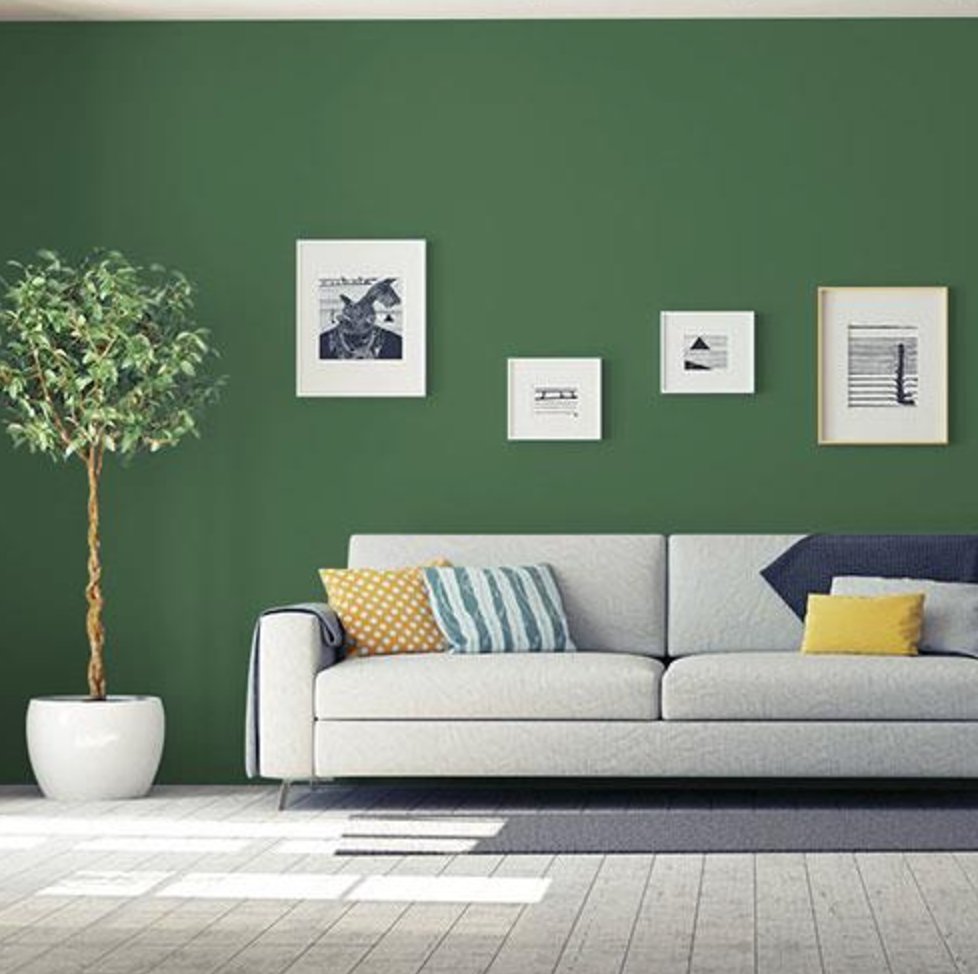 The Best Interior Paints for 2025