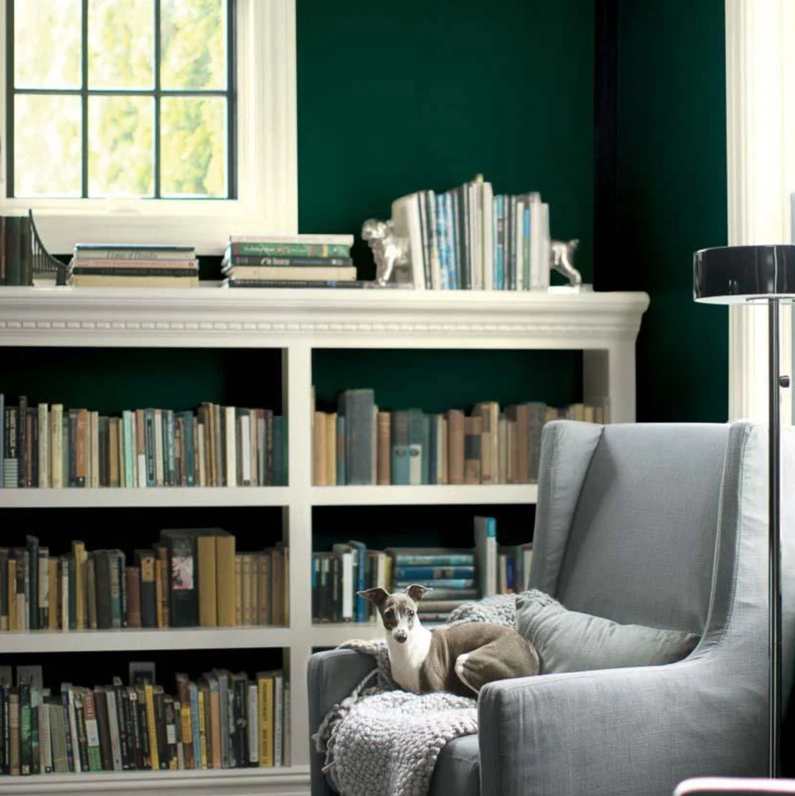 Best Dark Green Paint Colors