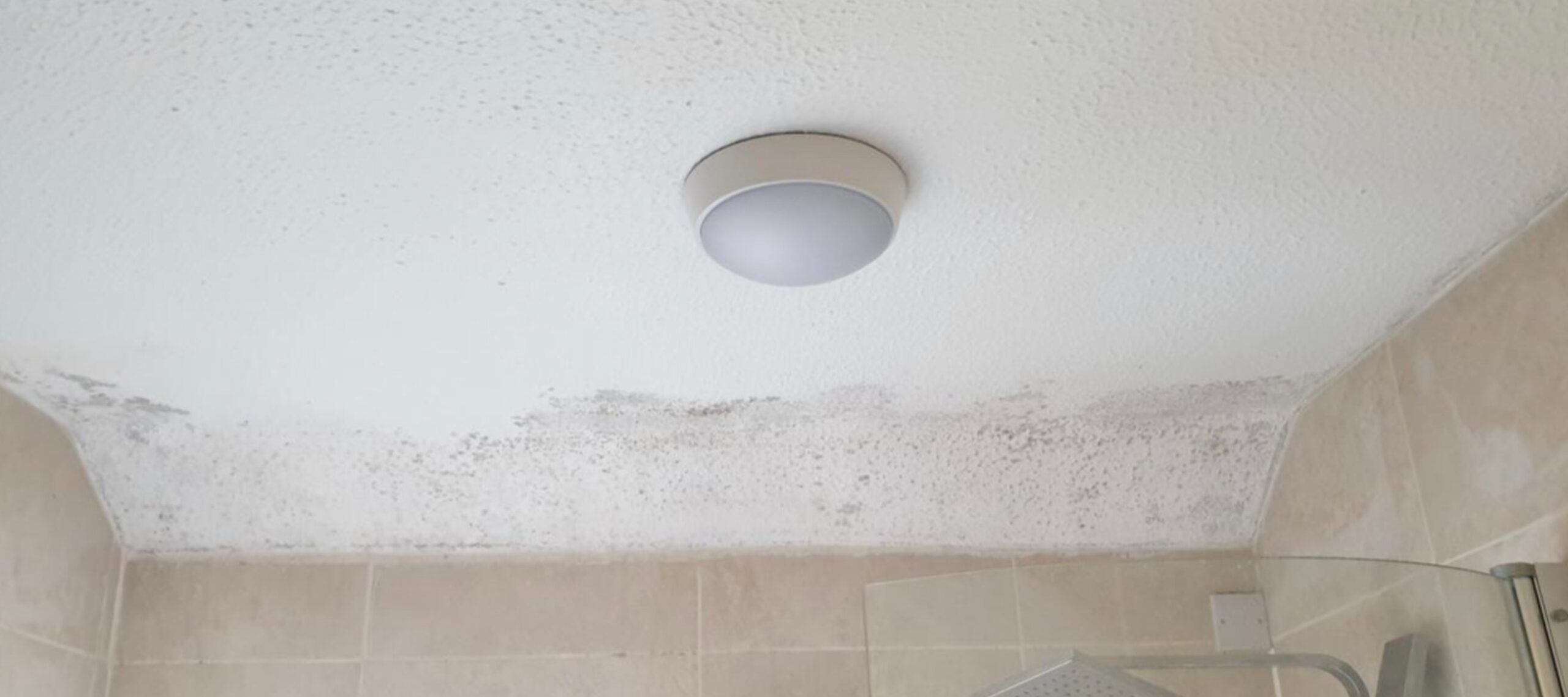 What’s the Best Paint for Bathroom Ceiling? Types and Brands